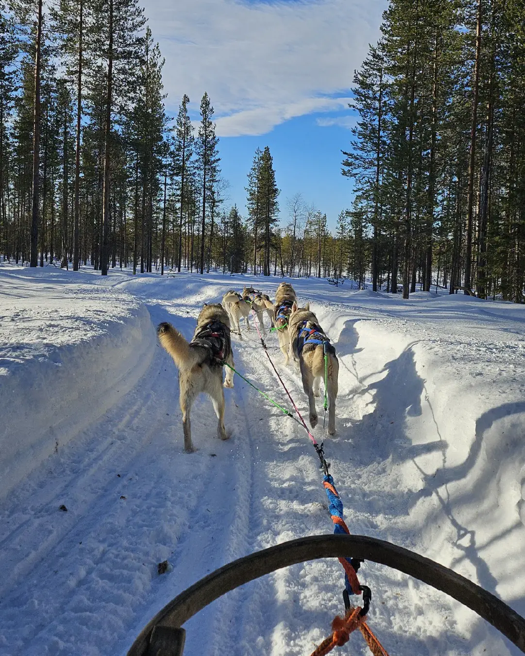 Mico_Dell_Lapland_Web_Carousel_1080x1350p_04 Mico_Dell_Lapland_Web_Carousel_1080x1350p_04